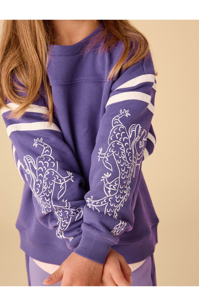 Tea Collection Sporty Dragon Sleeve Popover, Alternate, color, Ultraviolet