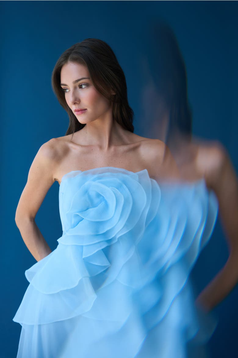Gilda Draped Rose Gown, Alternate, color, Serenity Blue