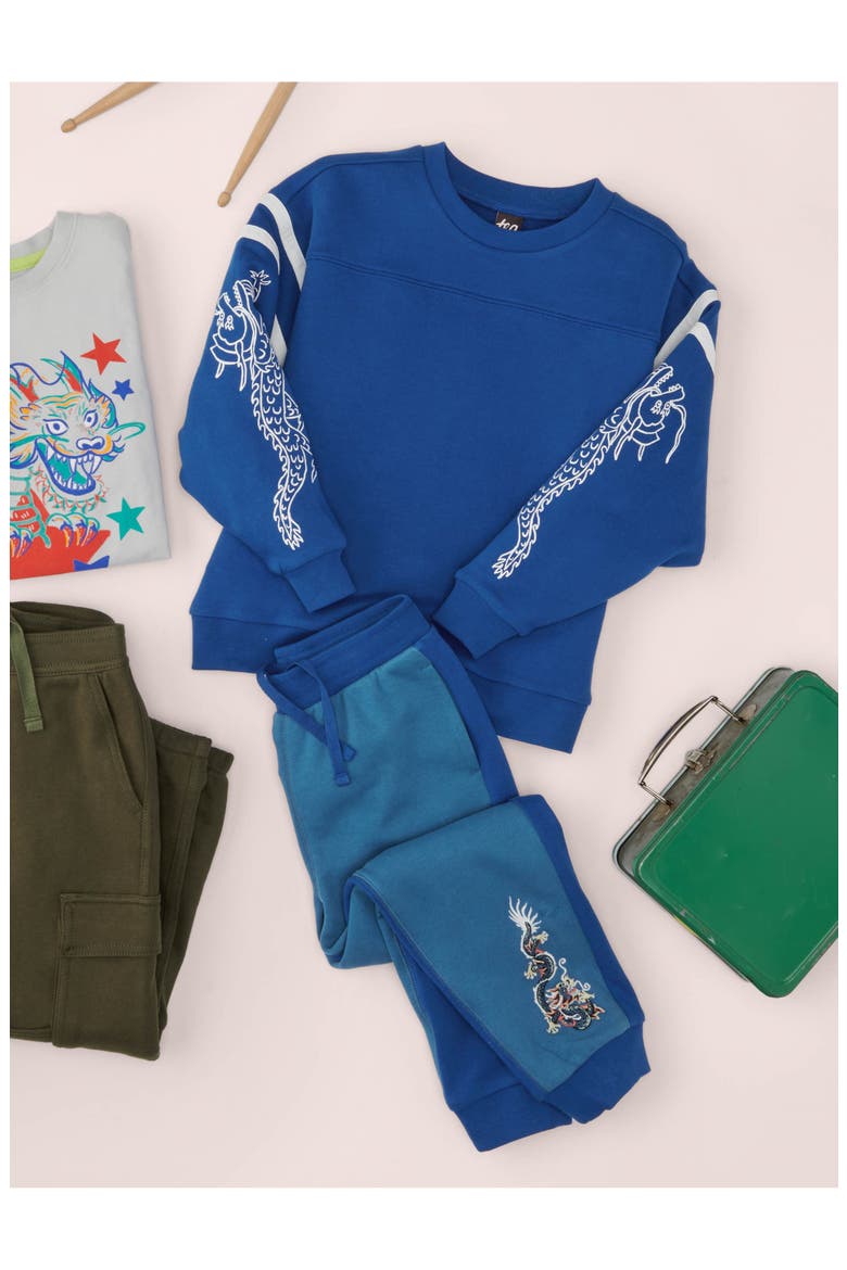 Sporty Dragon Sleeve Popover, Alternate, color, Galactic Blue