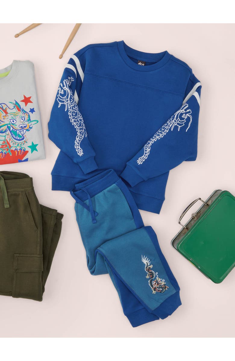 Tea Collection Sporty Dragon Sleeve Popover, Alternate, color, Galactic Blue