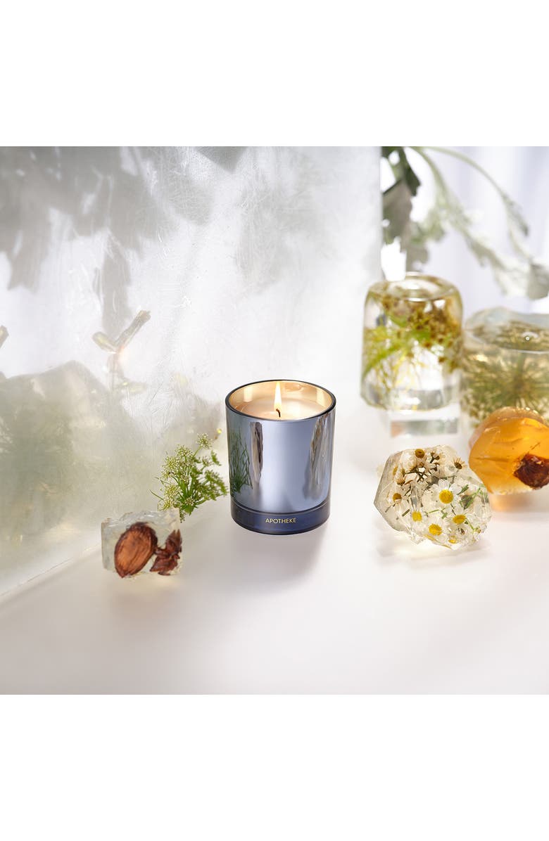 APOTHEKE Cardamom Chestnut Petite Scented Candle, Alternate, color, Light Blue