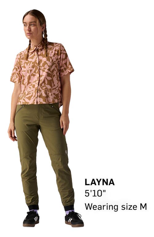 Backcountry Slickrock Pant In Brown