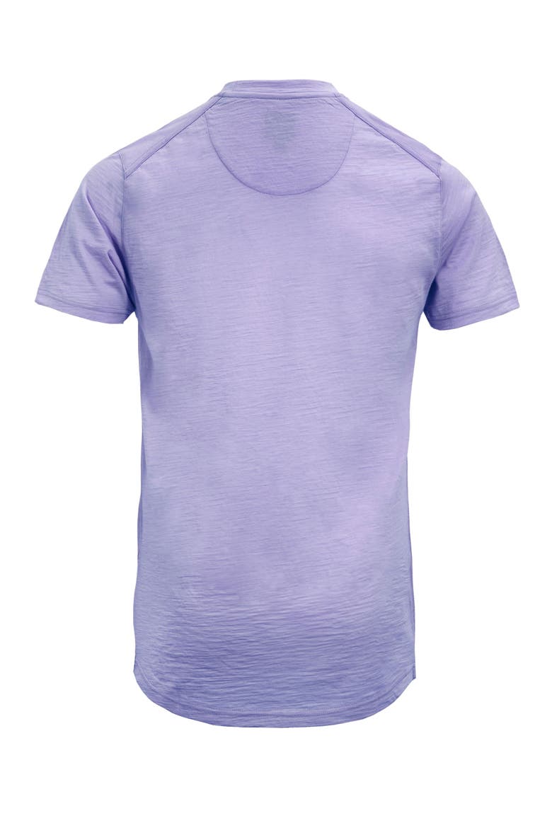 Cassius Merino Wool Jersey Crew Neck T-Shirt, Alternate, color, Lavender