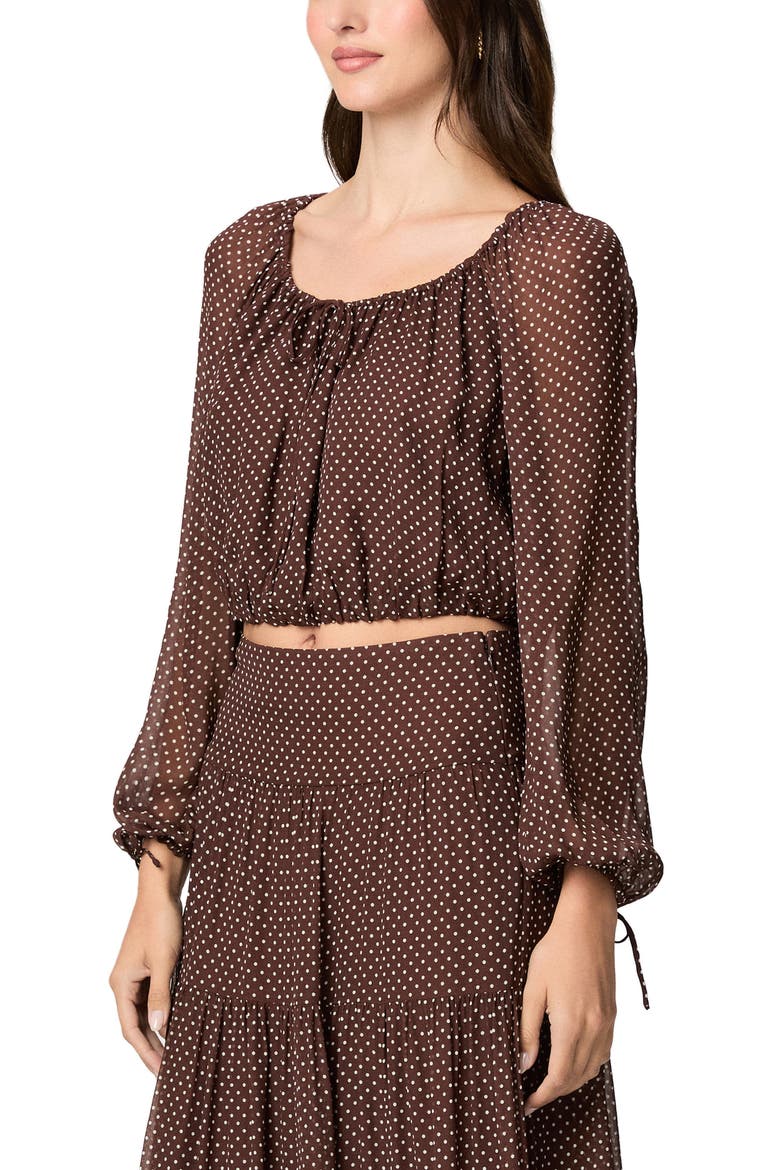 Capricorn Polka Dot Blouse, Alternate, color, MAHOGANY/ ECRU