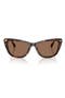  Shiny Dark Havana / Brown