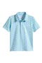selected Pastel Blue