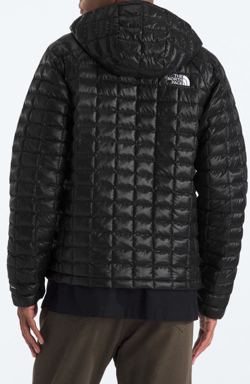 The North Face Thermoball Quilted Hooded Jacket In Black