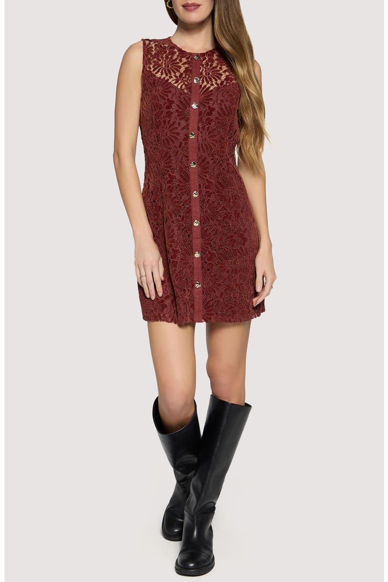 Merlot Whisper Floral Lace Minidress, Main, color, CHESTNUT