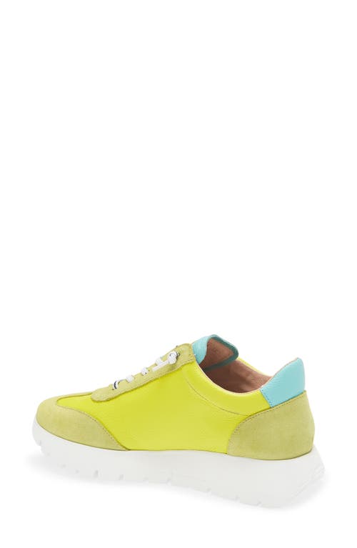 Wonders Fashion Slip-on Sneaker