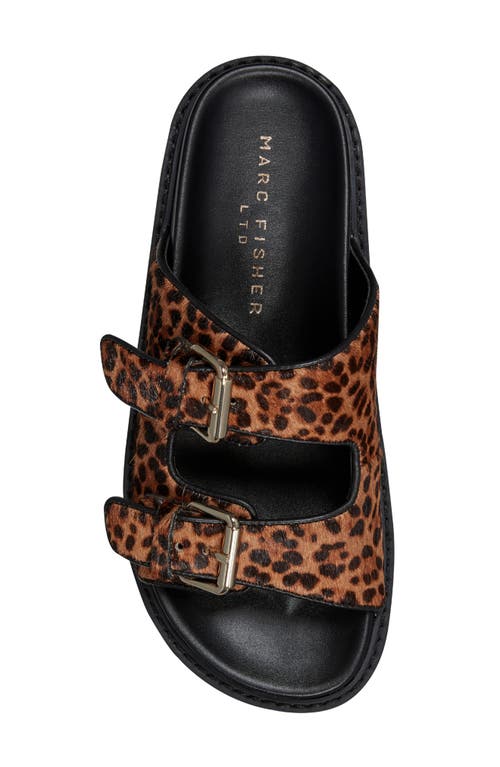 Marc Fisher Ltd Agustaly Genuine Calf Hair Sandal In Medium Brown Calf Hair