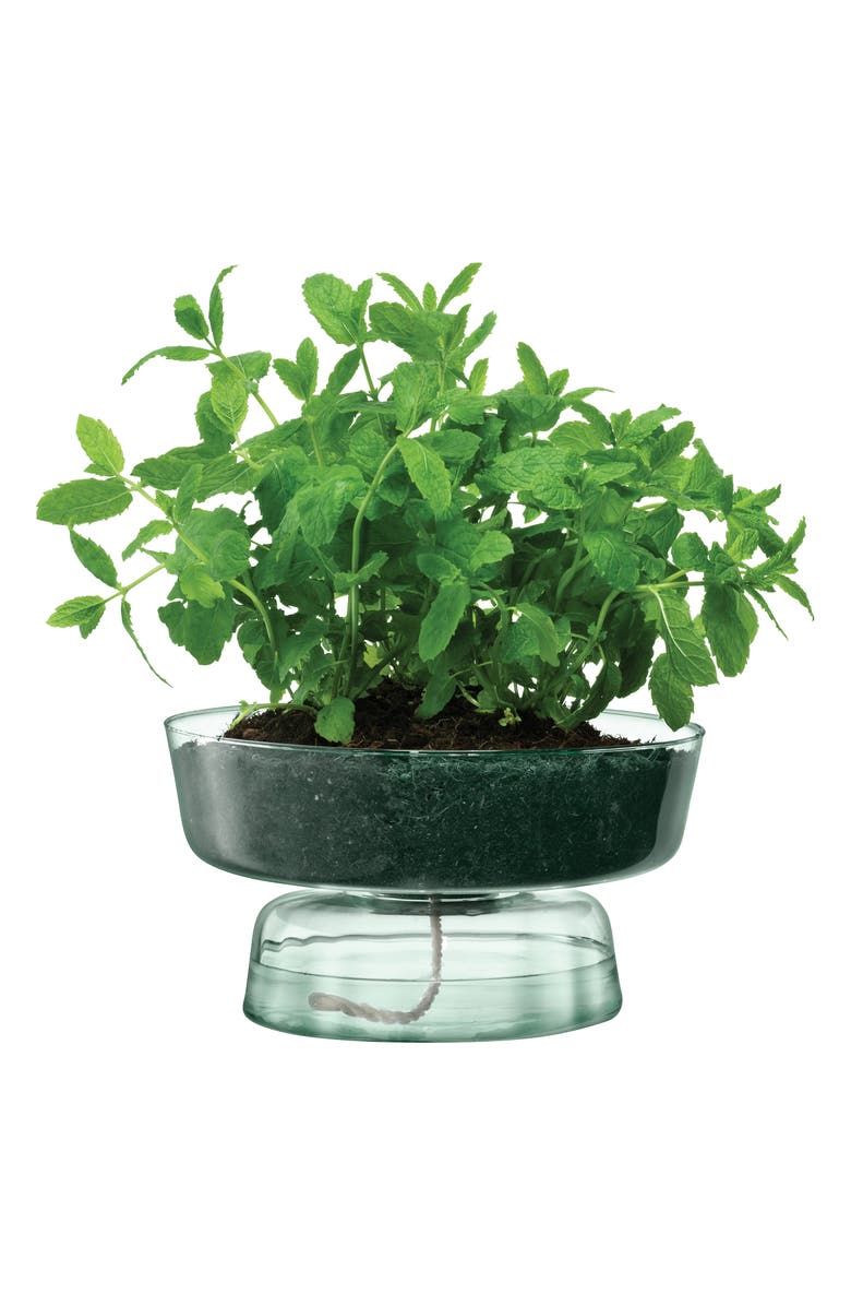 LSA Canopy Self Watering Glass Planter, Alternate, color, Clear