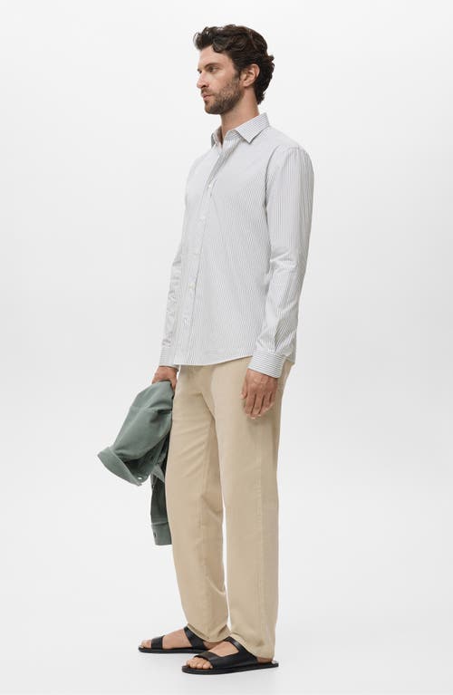 Mango Regular Fit Stripe Cotton Button-up Shirt In Brown