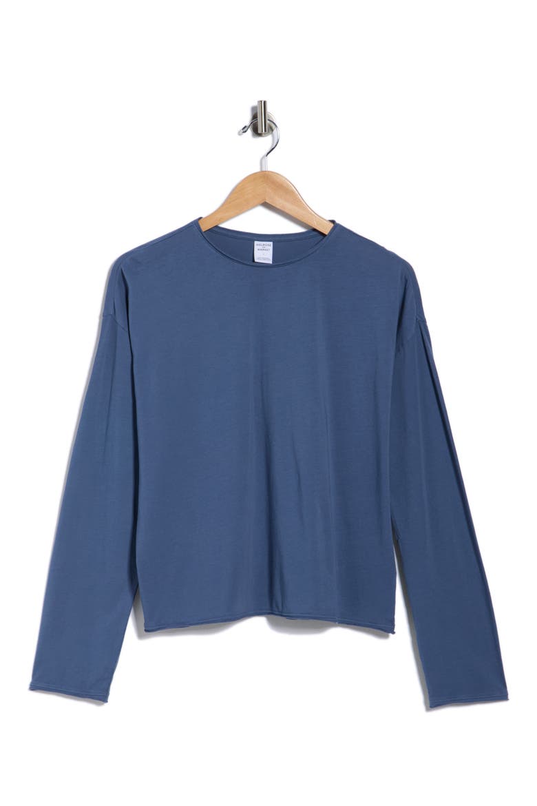 Boxy Long Sleeve T-Shirt, Alternate, color, BLUE VINTAGE