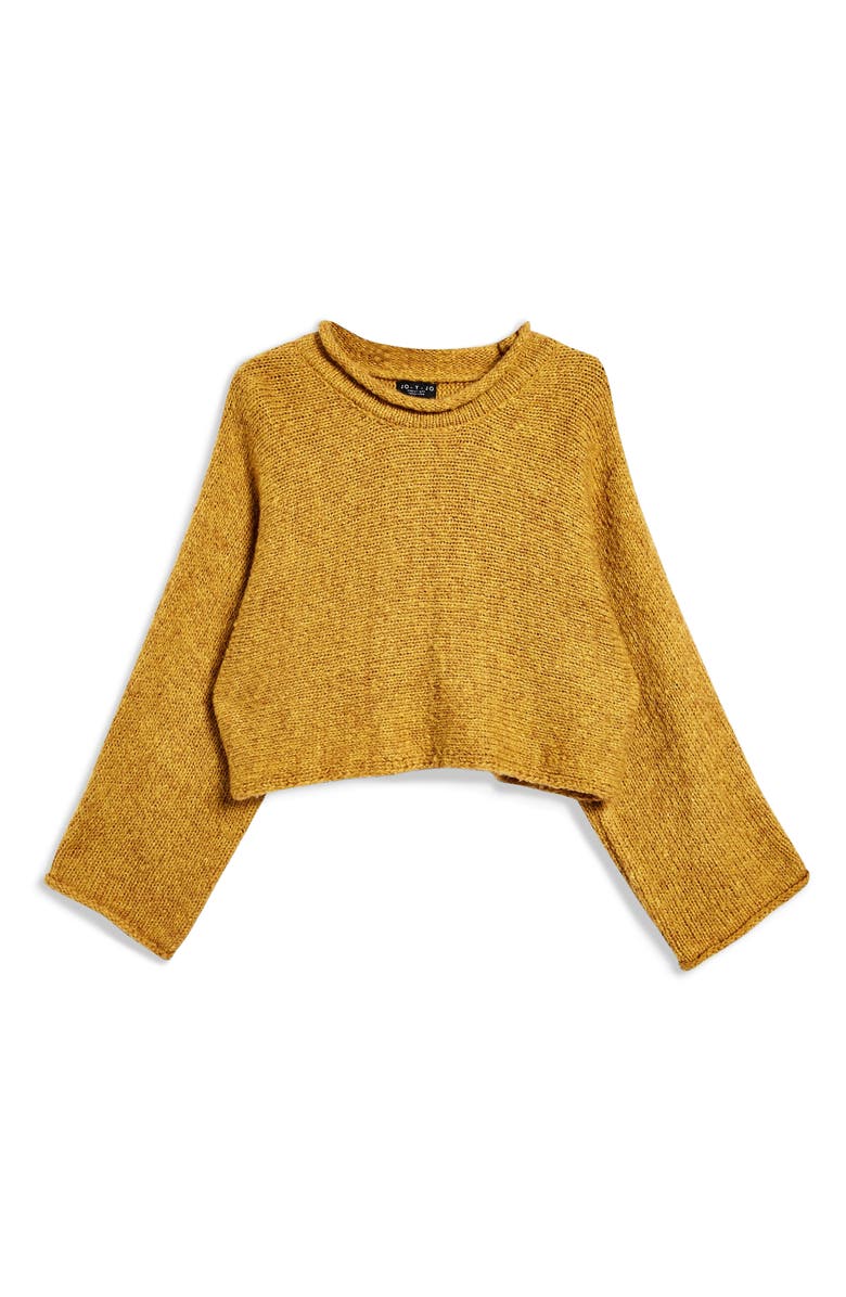 Topshop Punk Roll Neck Crop Sweater, Alternate, color, 