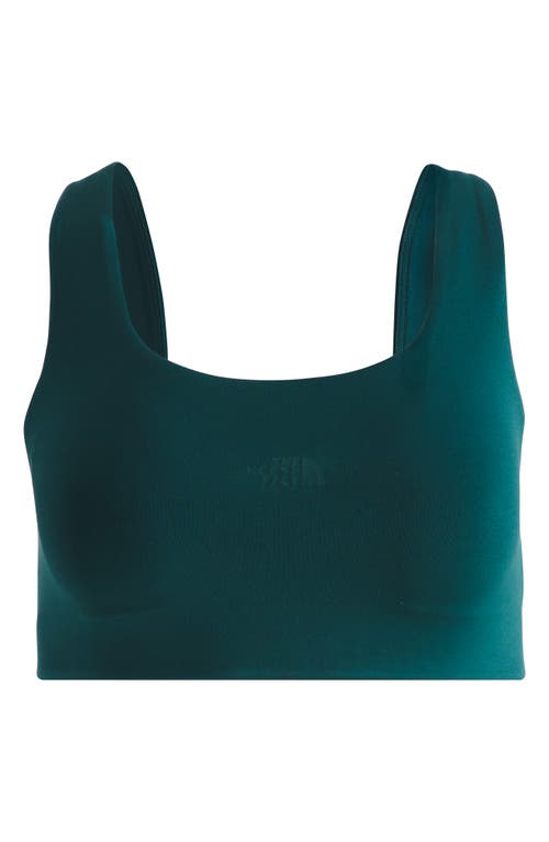 THE NORTH FACE THE NORTH FACE DUNE SKY SPORTS BRA 