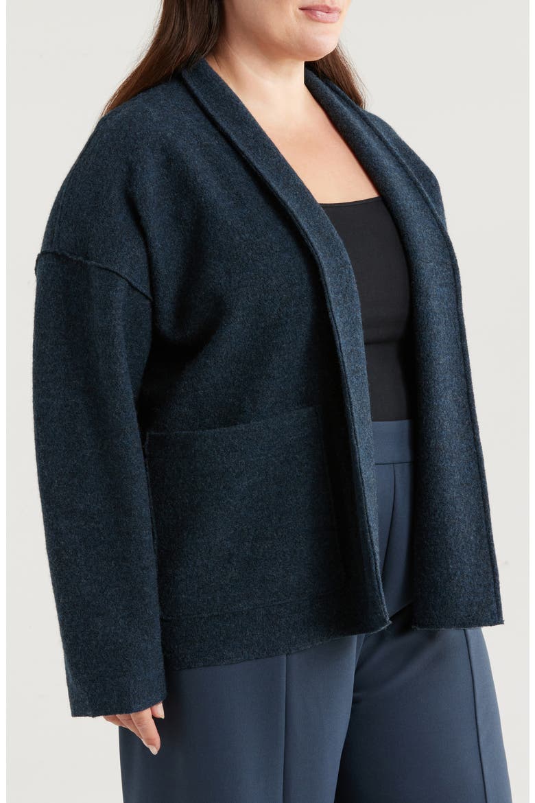 Shawl Collar Wool Cardigan, Alternate, color, DEEP ADRIATIC