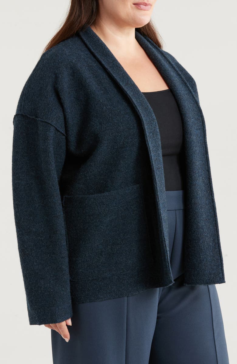 Eileen Fisher Shawl Collar Wool Cardigan, Alternate, color, 