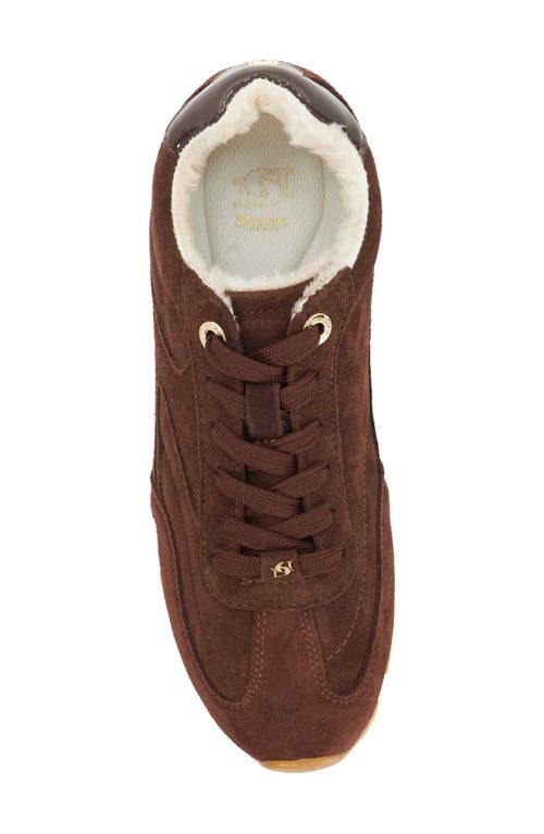 Dune London Engine Sneaker In Brown