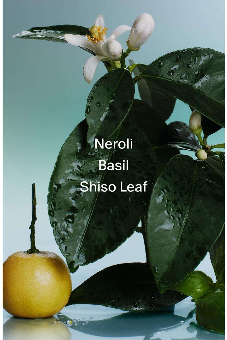 Deodorant, Alternate, color, NEROLI & BASIL