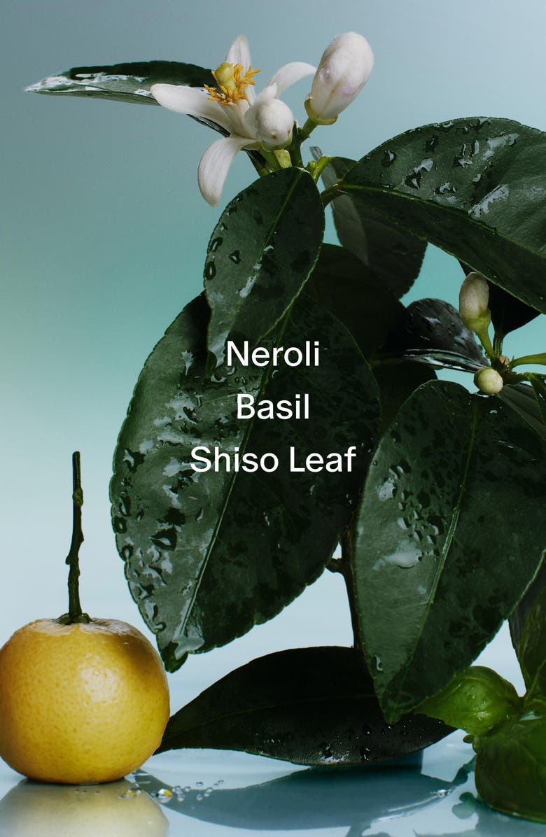 SALT & STONE Neroli & Basil Body Wash, Alternate, color, Regular