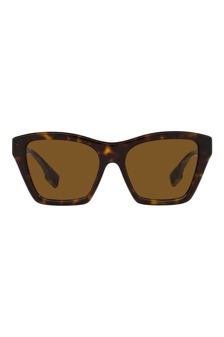 Arden 54mm Square Sunglasses, Main, color, DK HAVANA