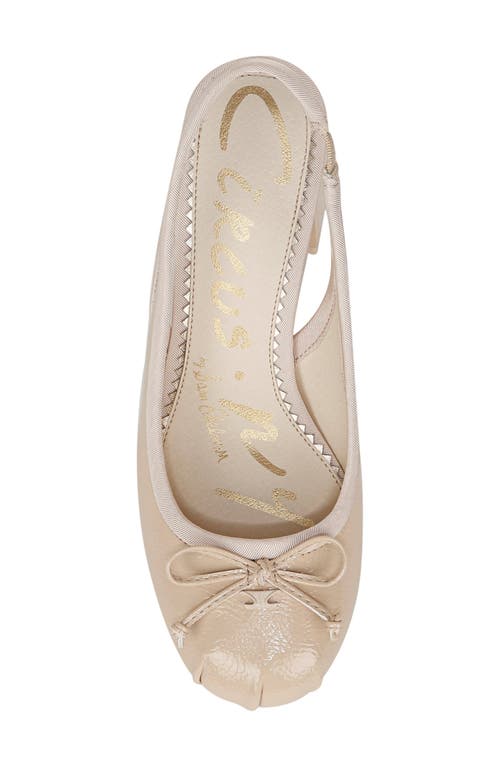 Circus Ny By Sam Edelman Diane Slingback Pump In Neutral