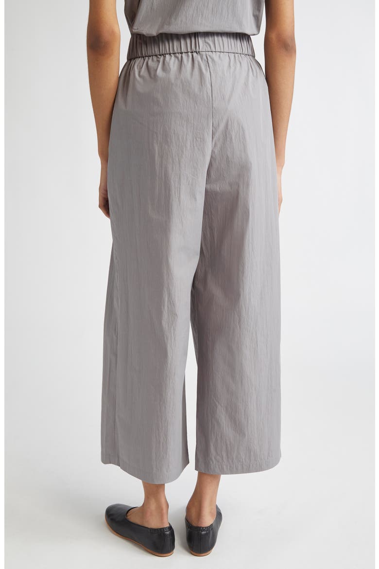 Dean Tie Waist Ankle Wide Leg Pants, Alternate, color, TITANIUM