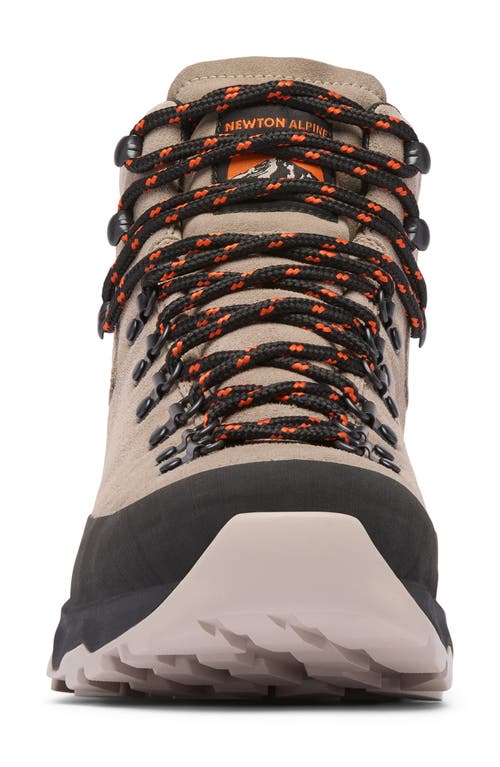 Columbia Newton Alpine Waterproof Hiking Boot In Neutral