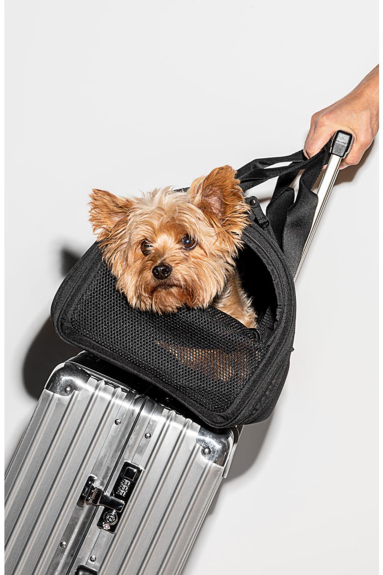 Air Travel Dog Carrier, Alternate, color, BLACK