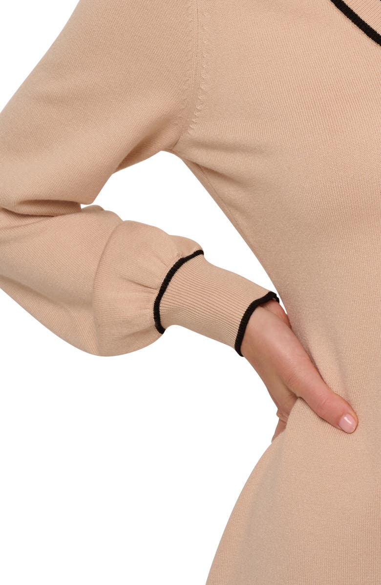 Adrianna Papell Collared Long Sleeve Twofer Sweater Dress, Alternate, color, Champ Blush/ Black