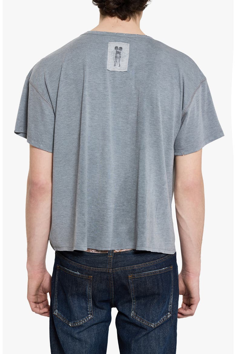 Flesh May Rot Graphic T-Shirt, Alternate, color, GREY