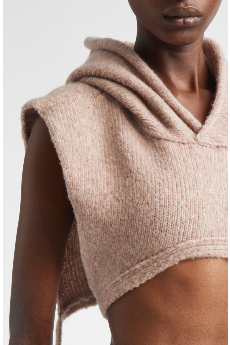 Hooded Wool Blend Dickie, Alternate, color, MAUVE MELANGE