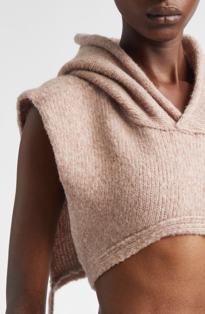 Aisling Camps Hooded Wool Blend Dickie, Alternate, color, Mauve Melange