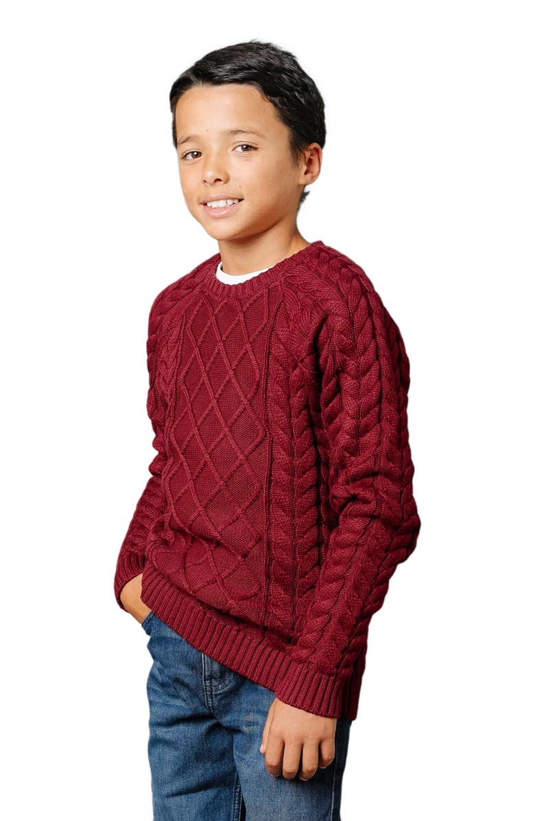 Hope & Henry Boys' Organic Raglan Fisherman Sweater, Kids, Main, color, 