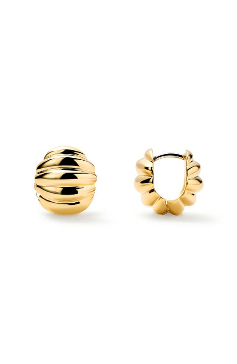 Women's Ana Luisa Earrings