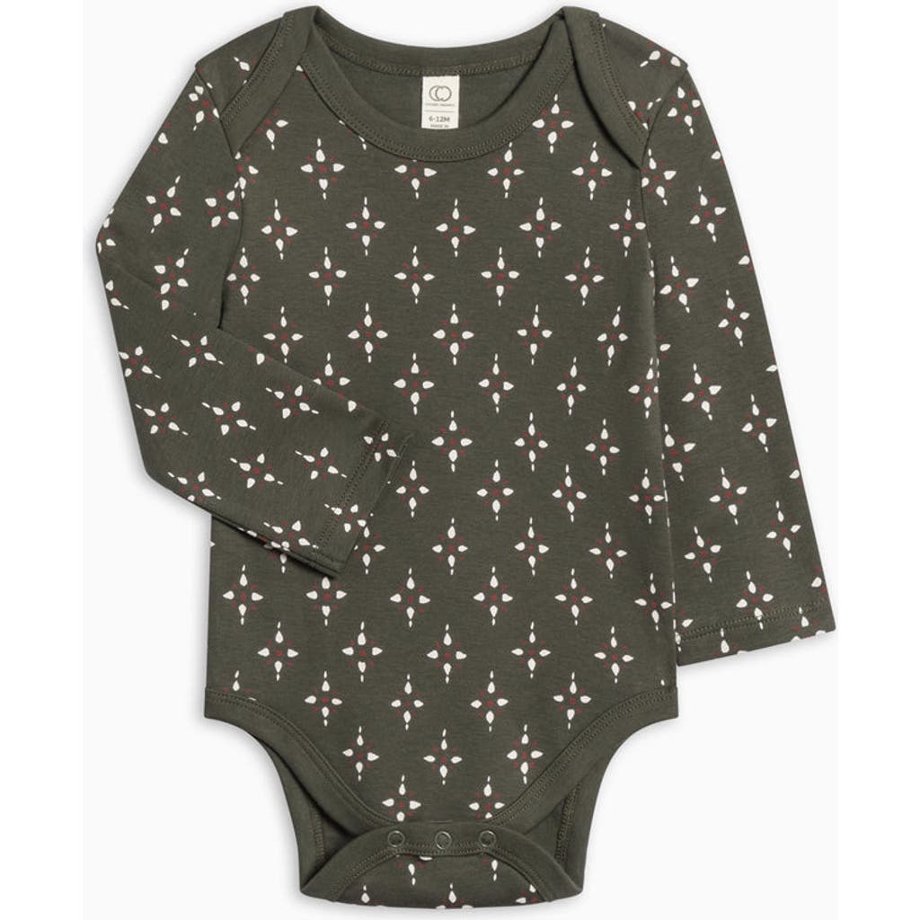 Colored Organics Kids' Organic Holiday River Bodysuit In Green