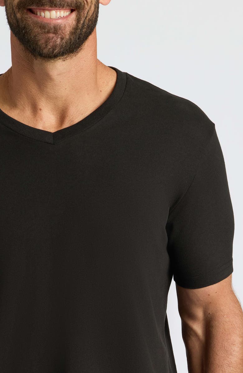 True Classic Short Sleeve V-Neck T-Shirt, Alternate, color, Black