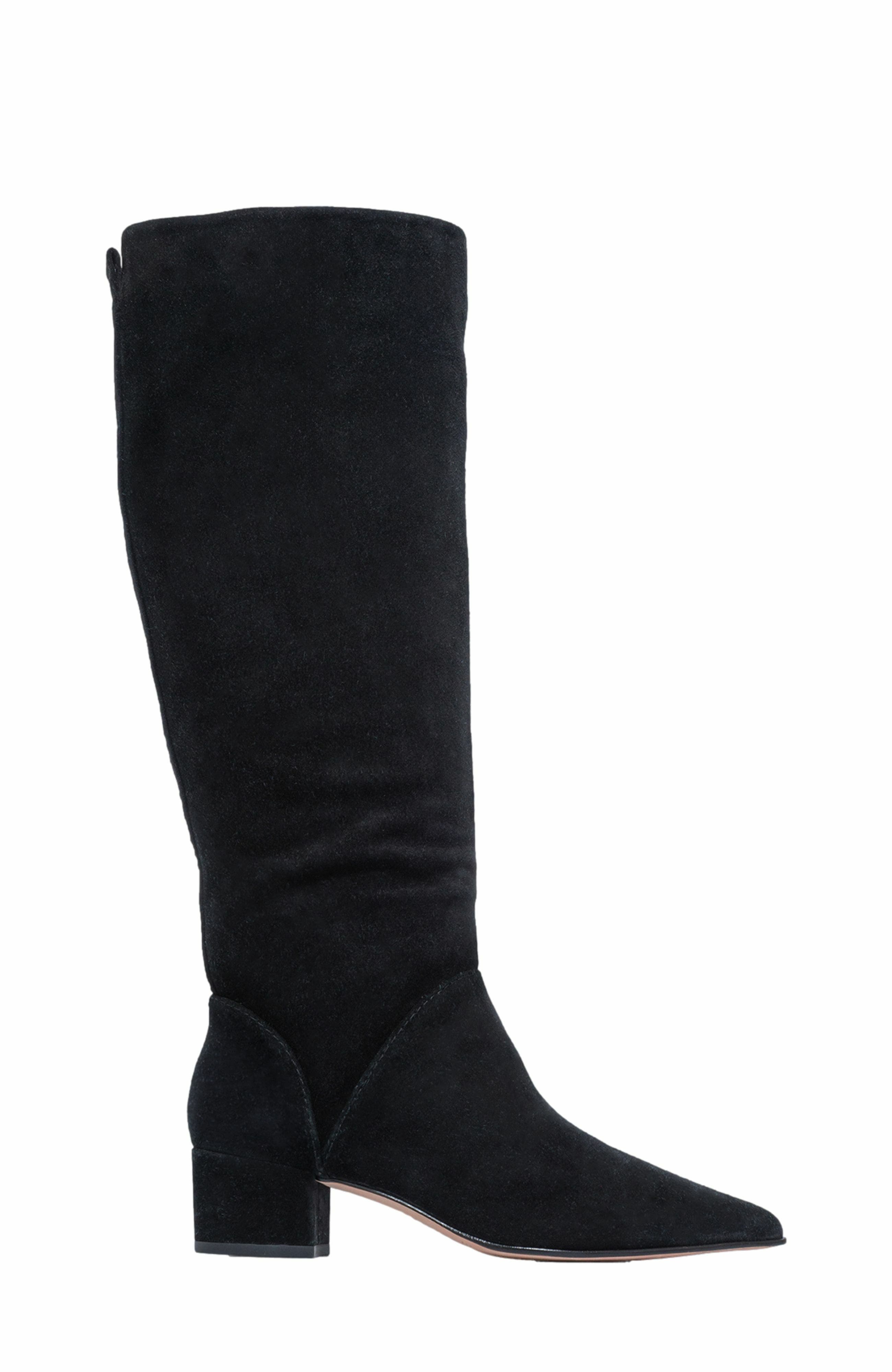 Bernardo Footwear Milano Knee-High Pointed Toe Boot, Main, color, 