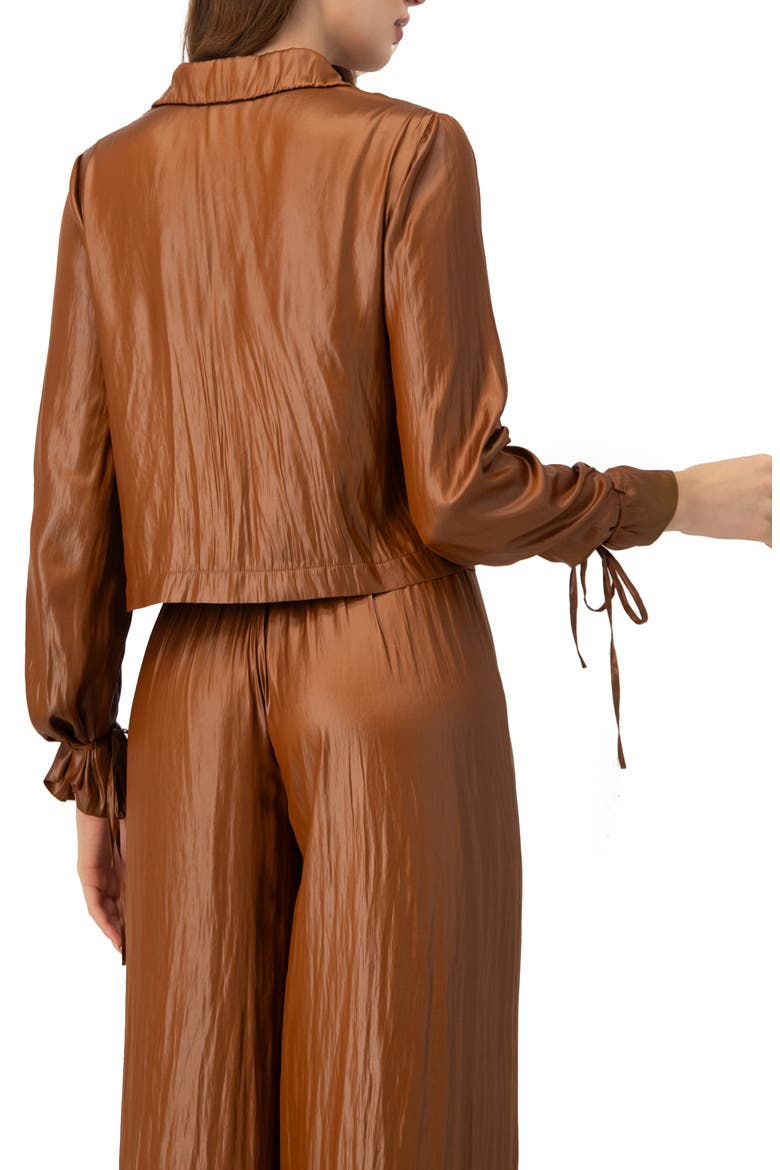 Two Button Shirt with Sleeve Ties, Alternate, color, Brown