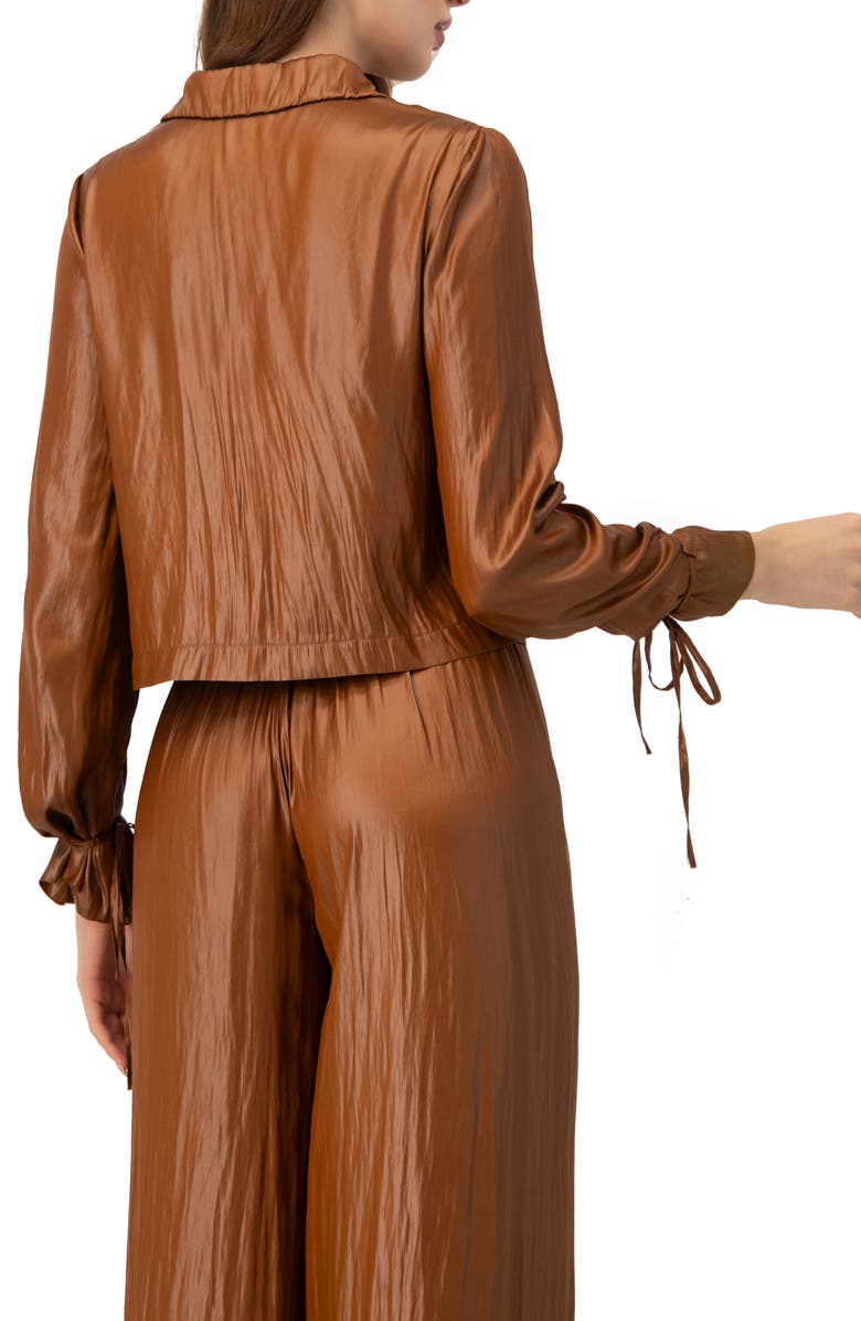 IVONNE Two Button Shirt with Sleeve Ties, Alternate, color, Brown