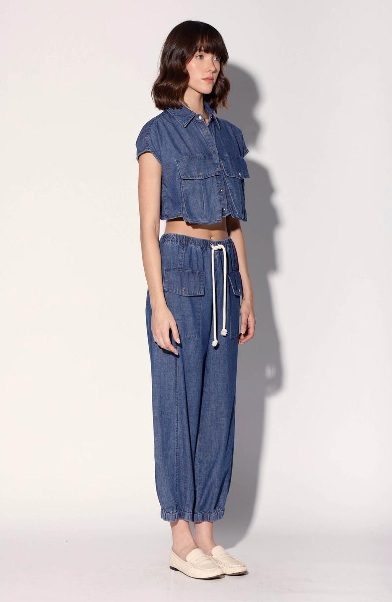 Walter Baker Brenner Pant, Alternate, color,