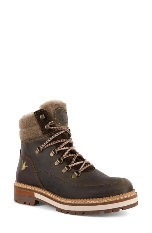 Santana Canada Cascade Waterproof Boot In Brown