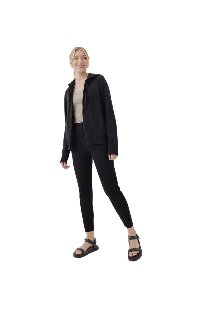 Pact Classic Organic Cotton Airplane Joggers, Alternate, color, 