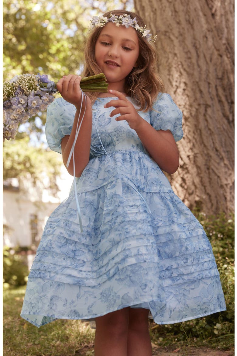 Kids' Puff Sleeve Organza Dress, Main, color, BLUE FLORAL