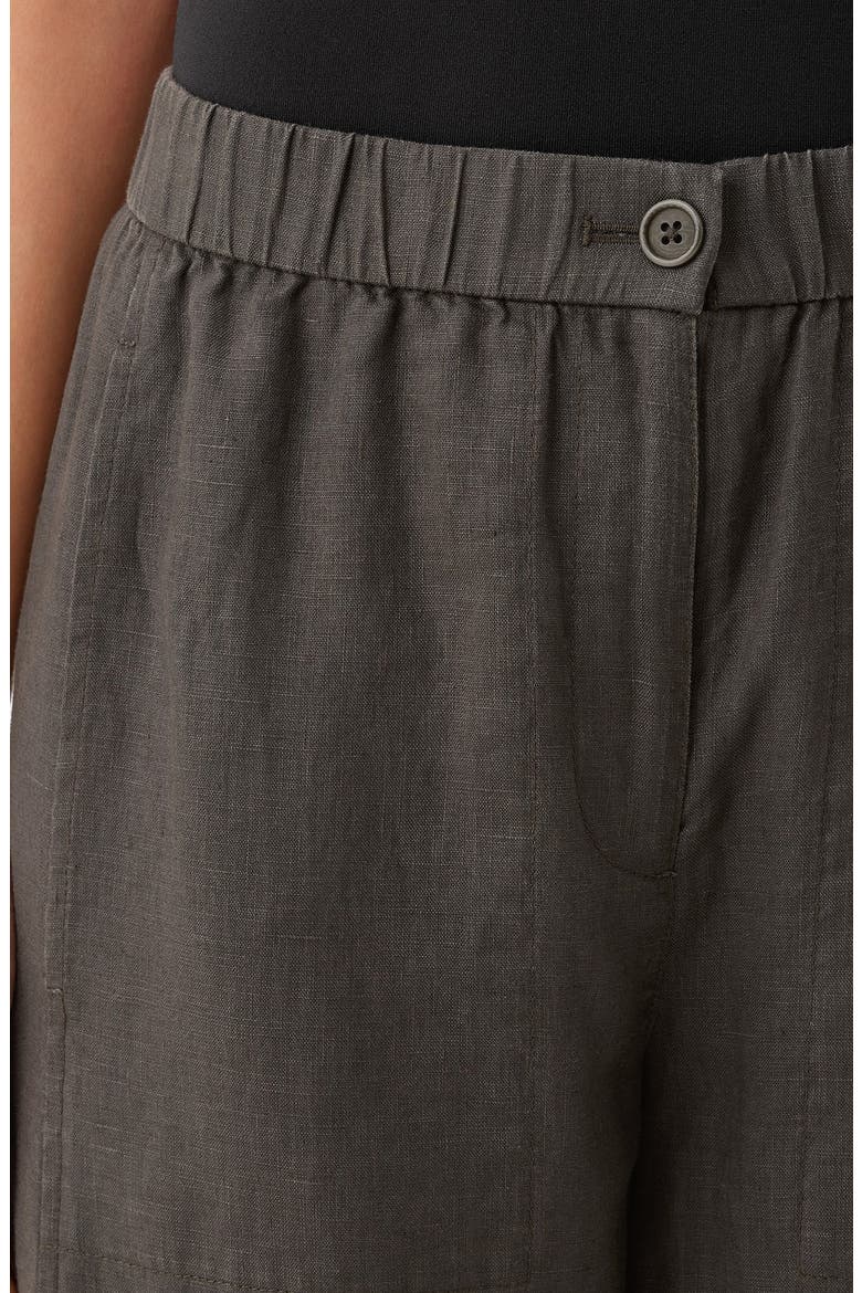 Wide Leg Organic Linen Ankle Pants, Alternate, color, GROVE