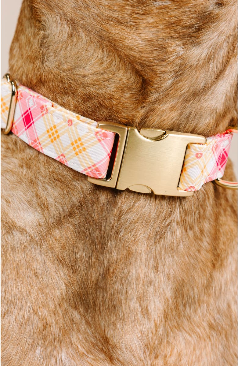 Pink Papyrus Lottie Dog Collar, Alternate, color, Lottie
