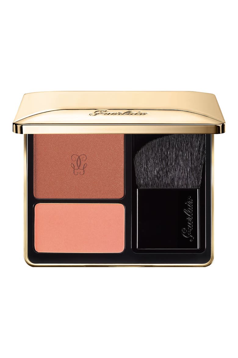 'Rose Aux Joues' Blush Duo, Main, color, GOLDEN HIGH 05