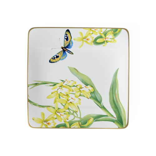 Villeroy & Boch Amazonia Square Salad Plate In White