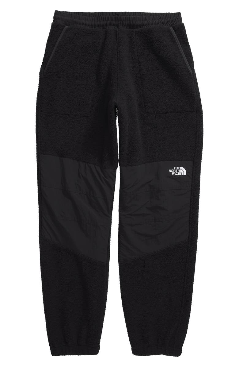 The North Face Retro Denali Water Repellent Recycled Polyester Fleece Pants, Alternate, color, 