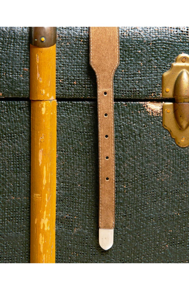 Fortela Phoenix Suede Leather Belt, Alternate, color, Sand1